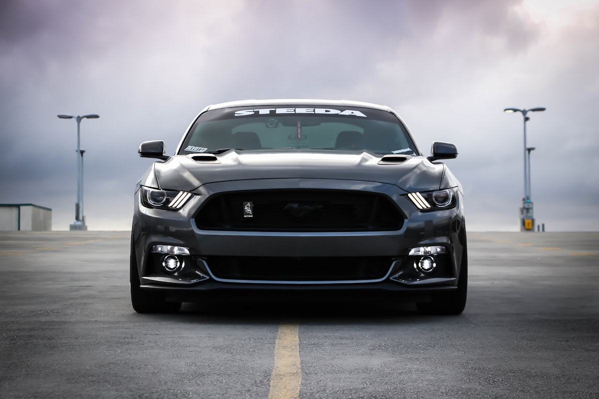 V8 リミテッド
